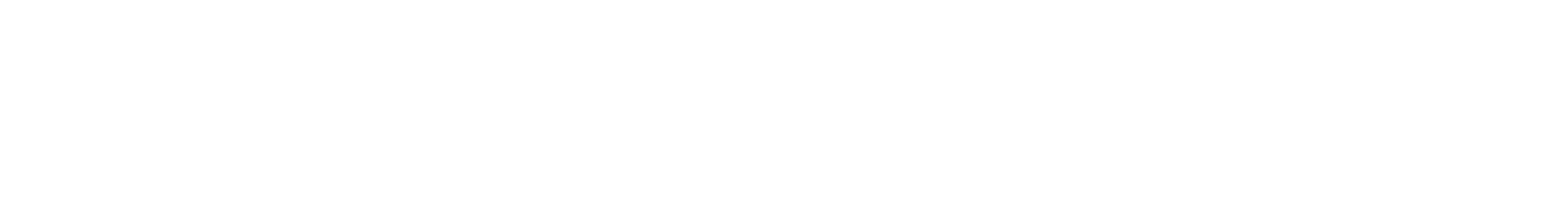 logo light